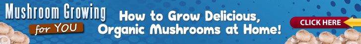 Grow Your Own Mushrooms